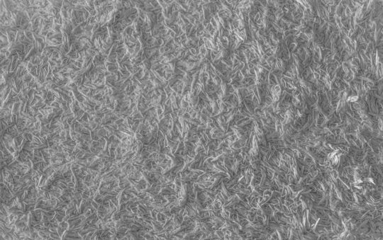 Durable and Stylish Stain Resistant Rugs Perfect for Dining Rooms